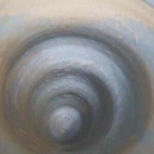 Vase coquillage – Image 4