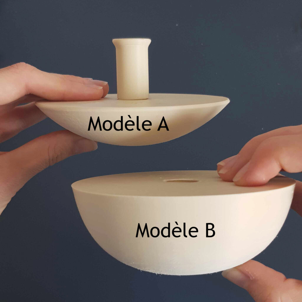 champignon de modelage