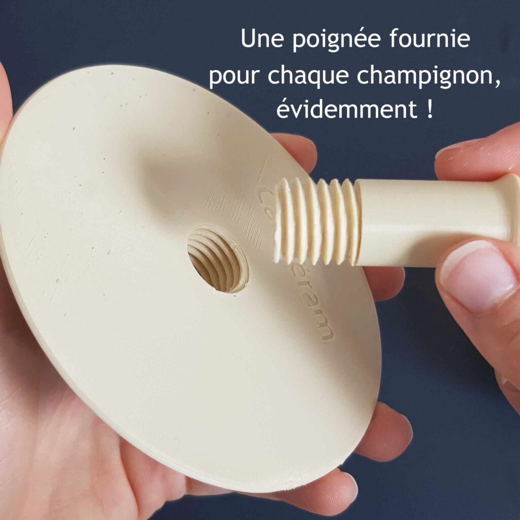 champignon de modelage